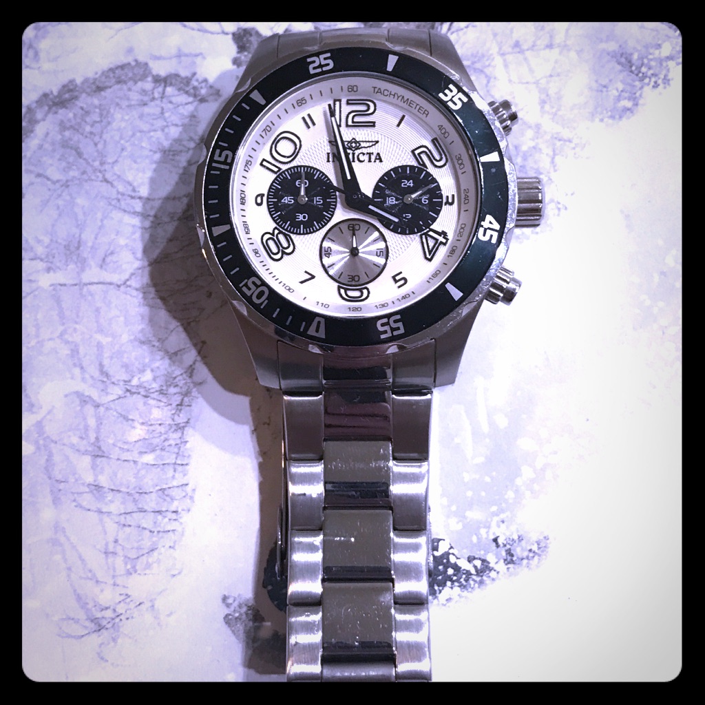 Invicta Mens Pro Diver Watch
